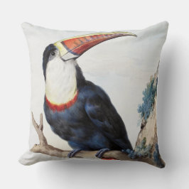 Roter Tucan (1748) von Aert Schouman Kissen