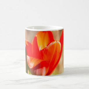 Roter Tulip-Blossom Kaffeetasse