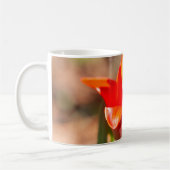 Roter Tulip-Blossom Kaffeetasse (Links)