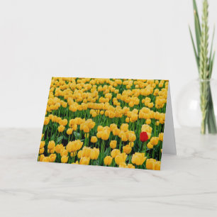 Roter Tulip in einem gelben Tulip-Feld Karte