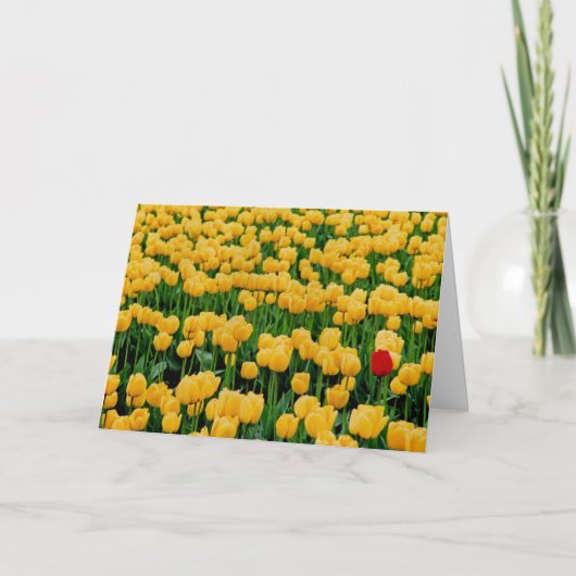 Roter Tulip in einem Gelbtupffeld Karte (Vorderseite)