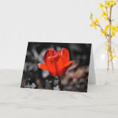Roter Tulip, Karte (Gelbe Blume)