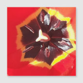 Roter Tulip Magnetkarte (Vorderseite)