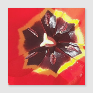 Roter Tulip Magnetkarte