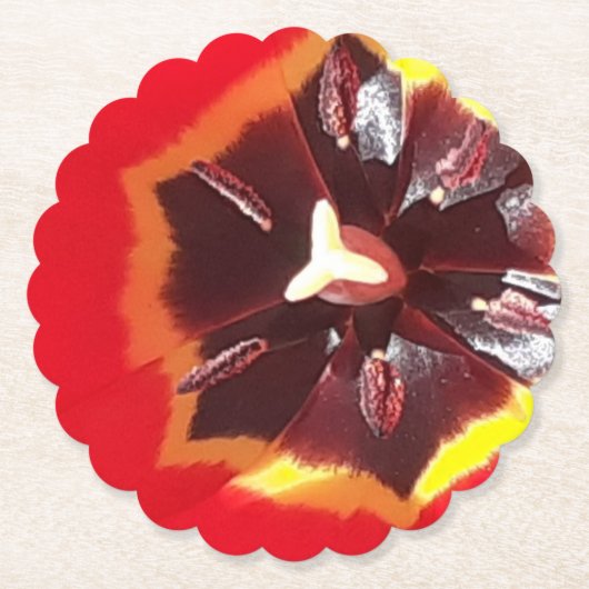 Roter Tulip Papier Untersetzer (Vorderseite)