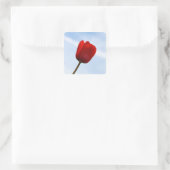 Roter Tulip Sticker (Tasche)