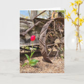 Roter Tulip und Altwagen Geburtstag Karte (Gelbe Blume)