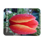 Roter Tulip und Raindrops floral sind wahr zu Ihne Magnet (Horizontal)
