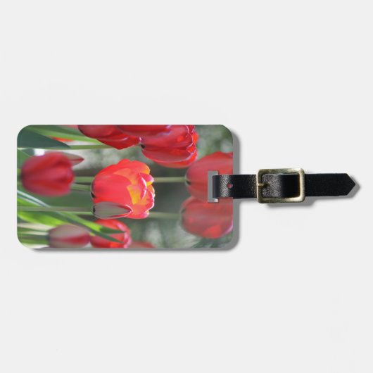 Roter Tulpe-Gepäck-Umbau personalisiert Gepäckanhänger (Vorderseite horizontal)