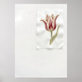 Roter Tulpen-Botanik-Wasserfarbenposter Poster (Vorne)