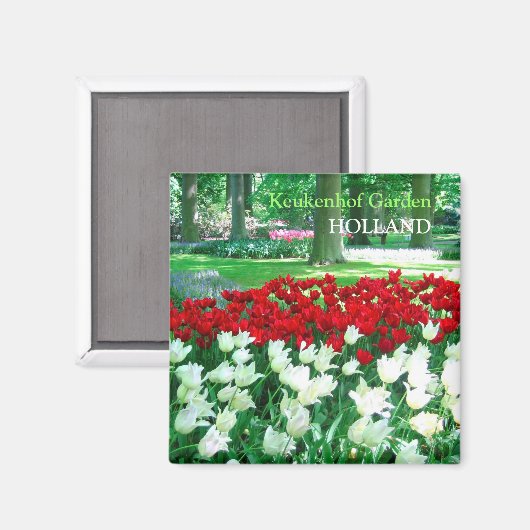 Roter Tulpengarten Magnet (Vorderseite/Rückseite)
