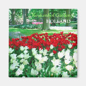 Roter Tulpengarten Magnet (Vorne)