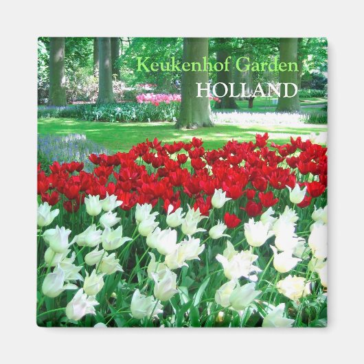 Roter Tulpengarten Magnet (Vorne)