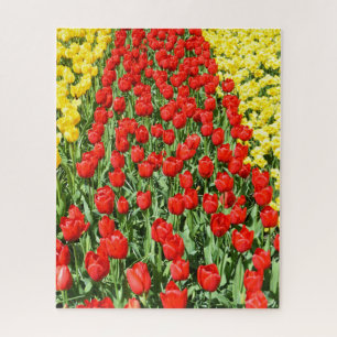 Roter Tulpenweg in Holland Puzzle