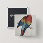 Roter und gelber Macaw Button (Vorne & Hinten)