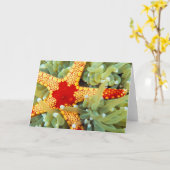 Roter und gelber Meerestern Karte (Gelbe Blume)