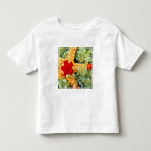 Roter und gelber Seestern Kleinkind T-shirt