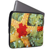 Roter und Gelber Seestern Laptopschutzhülle (Vorne Rechts)