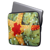 Roter und Gelber Seestern Laptopschutzhülle (Vorderseite Links)