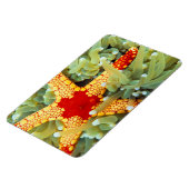 Roter und Gelber Seestern Magnet (Linke Seite)