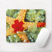 Roter und Gelber Seestern Mousepad (Mit Mouse)