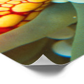 Roter und Gelber Seestern Poster (Ecke)