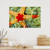 Roter und Gelber Seestern Poster (Küche)