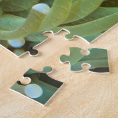Roter und Gelber Seestern Puzzle (Seite)
