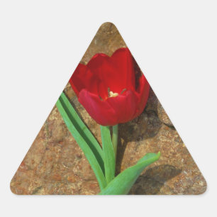 Roter und Gelber Tulip Dreieckiger Aufkleber