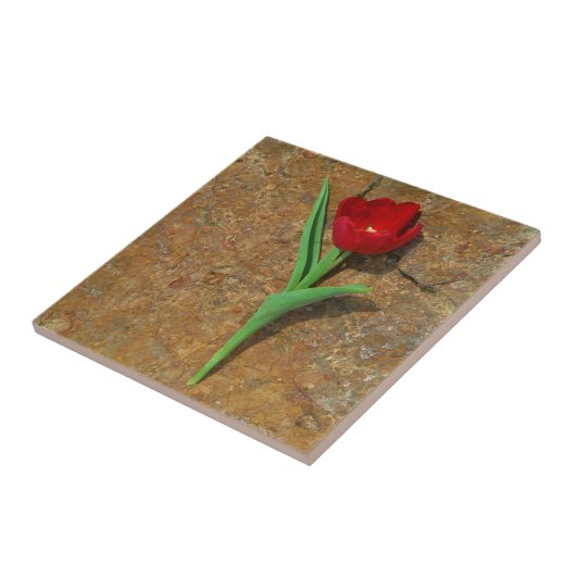 Roter und Gelber Tulip Fliese (Seite)