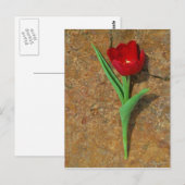 Roter und Gelber Tulip Postkarte (Vorne/Hinten)