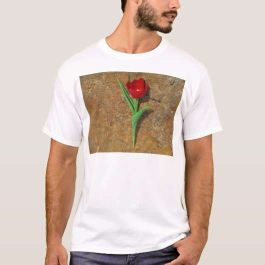 Roter und Gelber Tulip T-Shirt (Vorderseite)