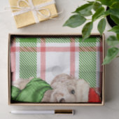 Roter und grüner Karierter Cockapo Weihnachtshund Seidenpapier (Geschenk)