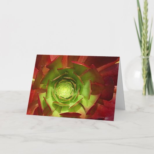 Roter und grüner Succulent durch Amy Vangsgard Karte (Vorderseite)