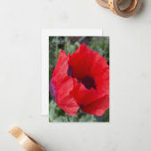 Roter und Lila Opiummohn Mitteilungskarte (Vorderseite/Rückseite Beispiel)