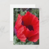 Roter und Lila Opiummohn Mitteilungskarte (Vorne/Hinten)