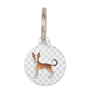 Roter und weißer Ibizan Hound mit glattem Fell Car Haustiermarke