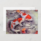 Roter und weißer Koi Fischteich Postkarte (Vorne/Hinten)