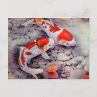 Roter und weißer Koi Fischteich Postkarte