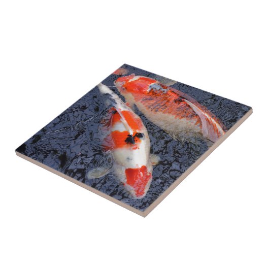 Roter und weißer Koi-Karpfen Fliese (Seite)