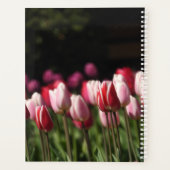 Roter und weißer Tulip Planer (Rückseite)