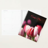 Roter und weißer Tulip Planer (Anzeige)