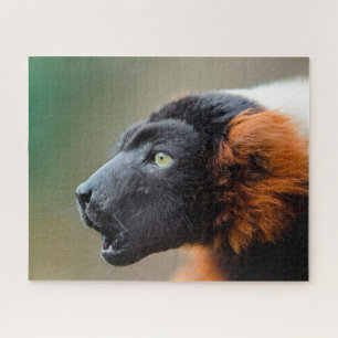 Roter Varis. Puzzle