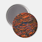 Roter verdünnter Dinosaurierknochen Magnet (Vorderseite/Rückseite)