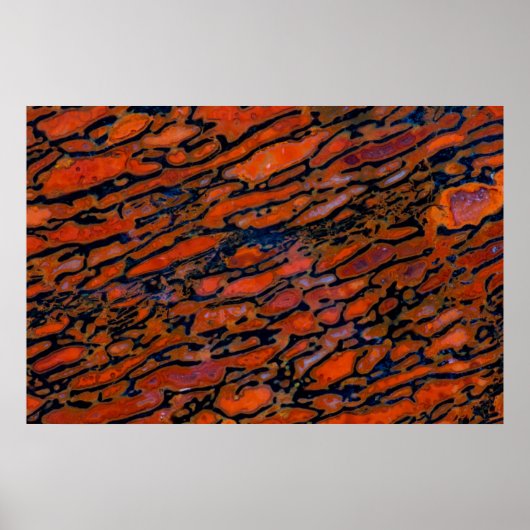 Roter verdünnter Dinosaurierknochen Poster (Vorne)