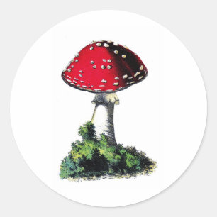 Roter Vintage-Pilz-Druck Runder Aufkleber