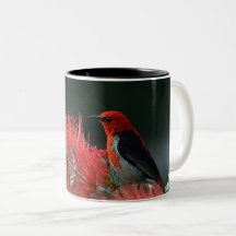 Roter Vogel am Zweig - Elegante Tasse