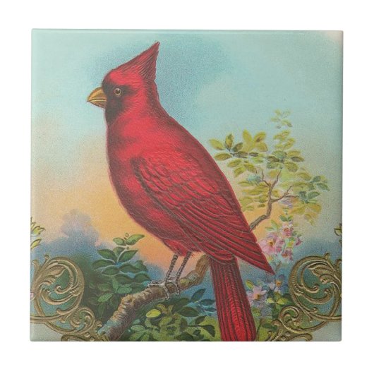 Roter Vogel Fliese (Vorderseite)