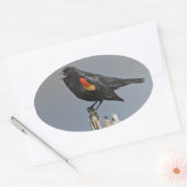 Roter Vogel Ovaler Aufkleber (Umschlag)