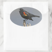 Roter Vogel Ovaler Aufkleber (Tasche)